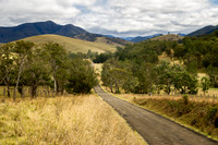 The Road