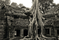 Angkor Wat
