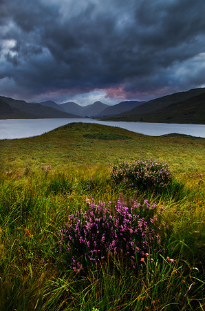 Loch Arklet