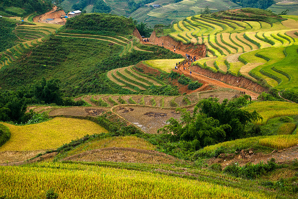 Curves of Sapa