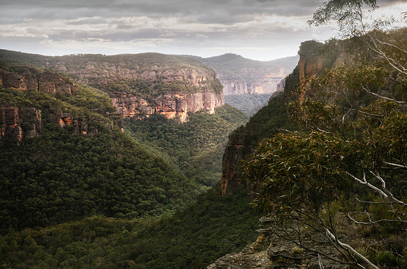 Newnes