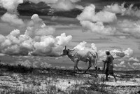 Rural Life