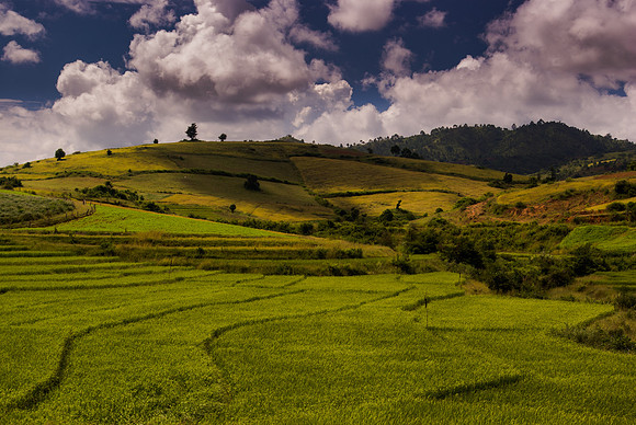 Shan State