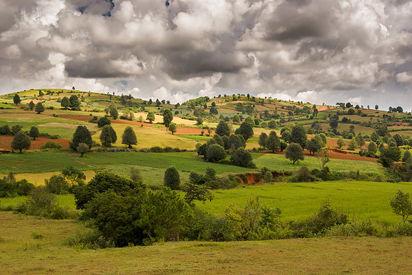 Patchwork Hills