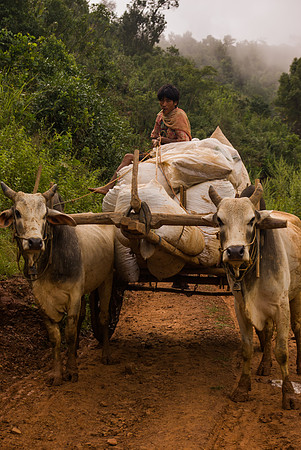 Off To Market