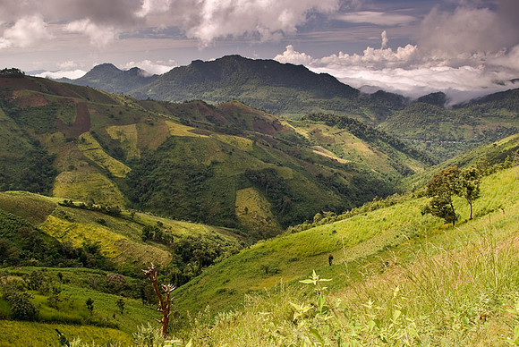 Patchwork Mountains