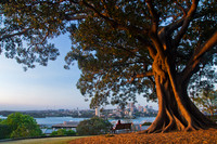 Observatory Hill