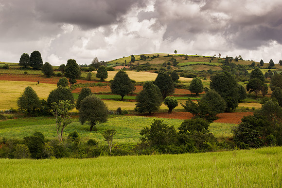 Patchwork Hills II