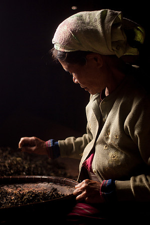Tea Leaves
